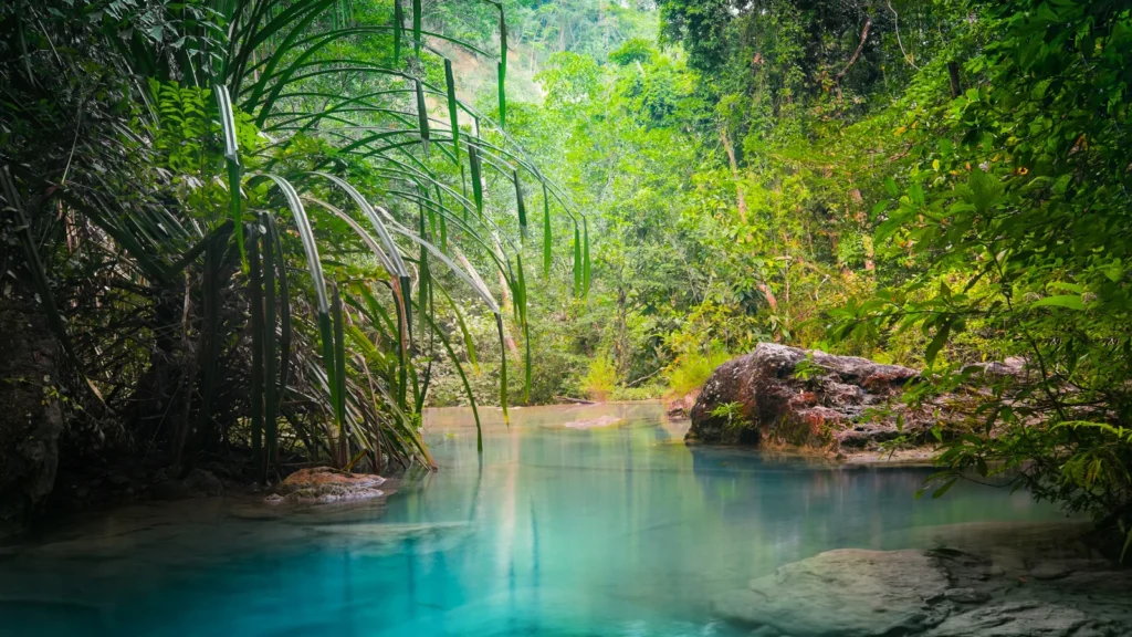 Dżungla przy wodospadzie Erawan