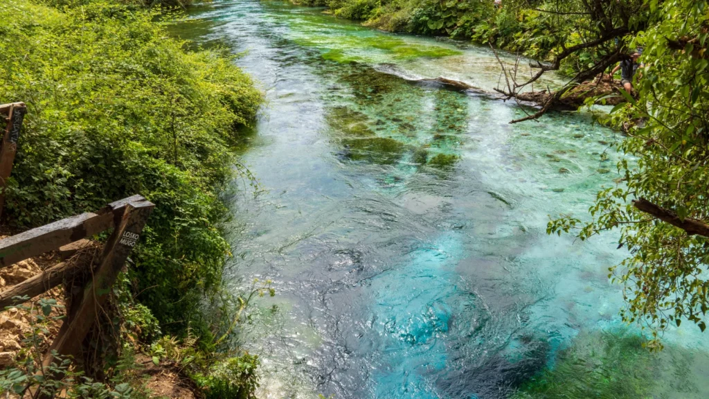 Blue Eye - niezwykłe źródło błękitnej wody, Albania